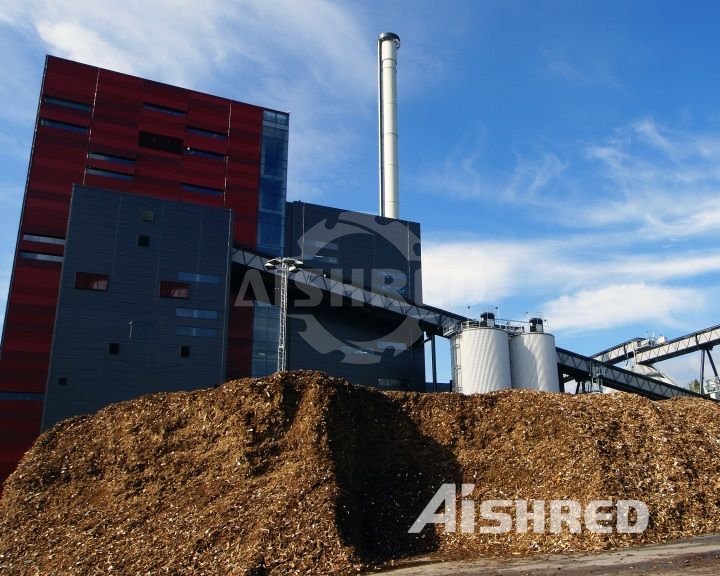 biomass power plant